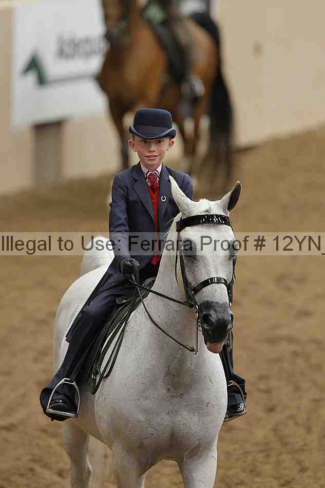 Proof Number 12yn_06597