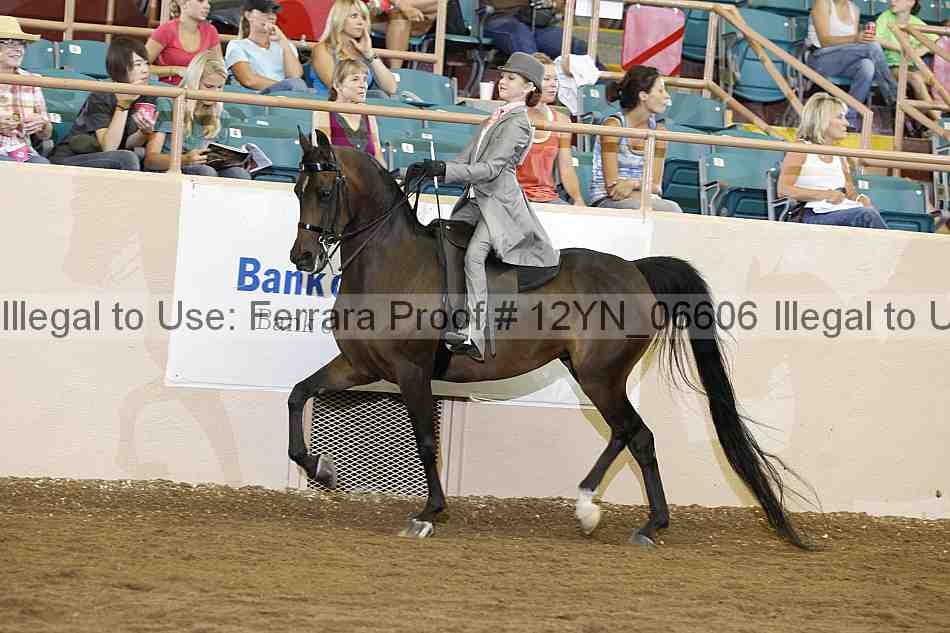 Proof Number 12yn_06606