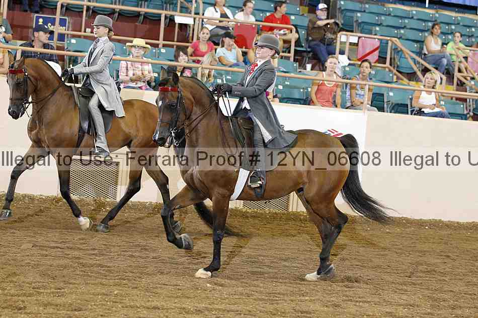 Proof Number 12yn_06608