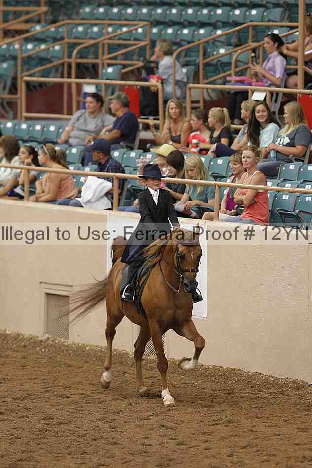 Proof Number 12yn_06651