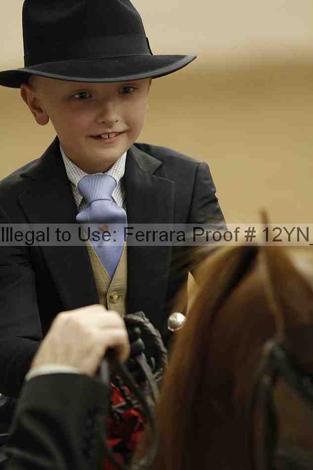Proof Number 12yn_06705