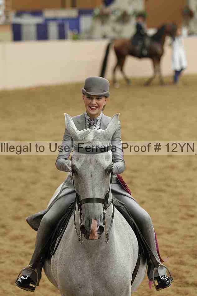 Proof Number 12yn_10880