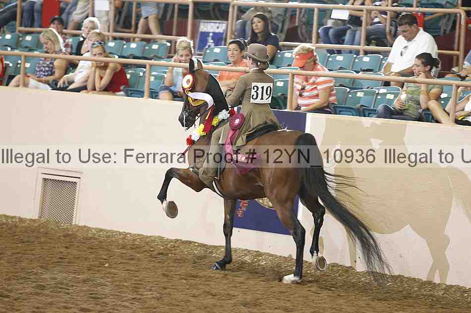 Proof Number 12yn_10936