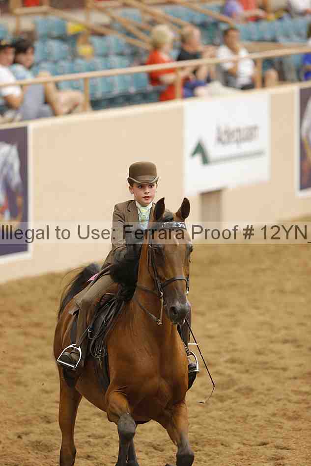 Proof Number 12yn_10965