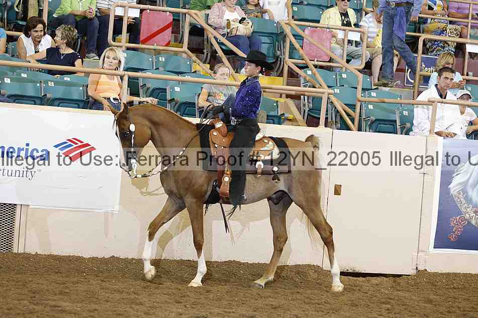 Proof Number 12yn_22005