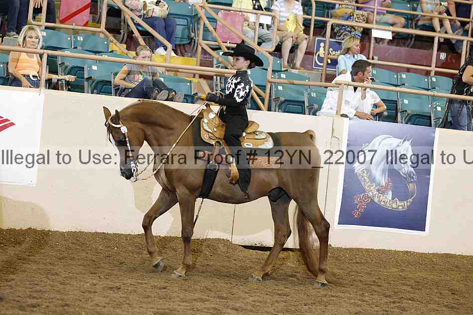 Proof Number 12yn_22007