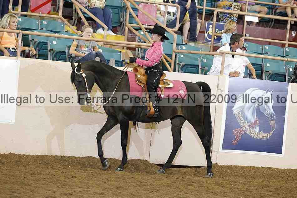 Proof Number 12yn_22009