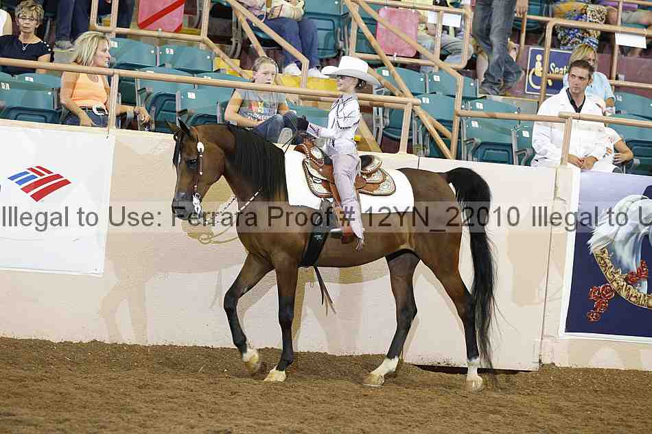 Proof Number 12yn_22010
