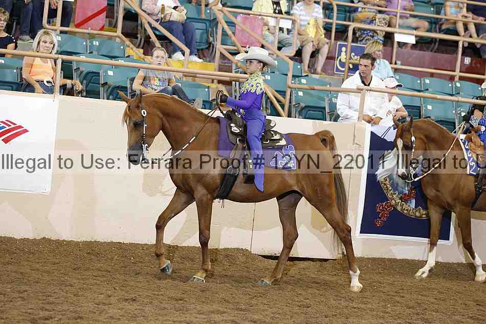 Proof Number 12yn_22011