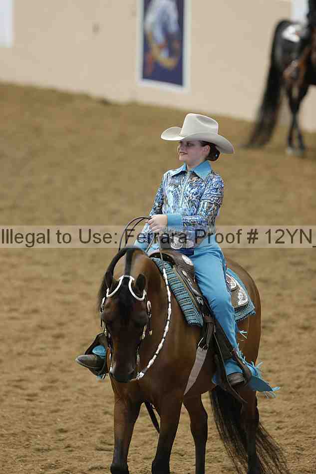 Proof Number 12yn_22060
