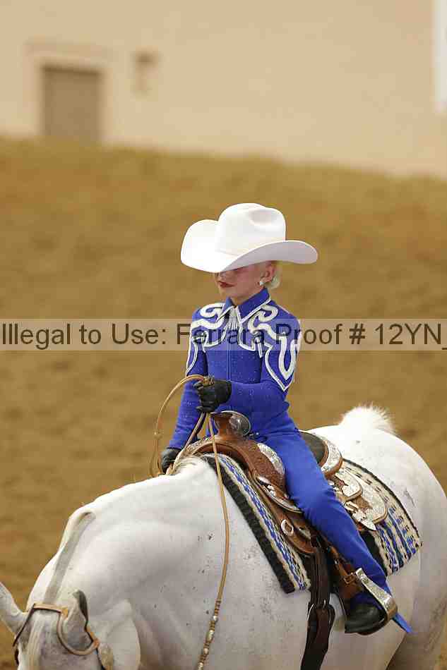 Proof Number 12yn_22090