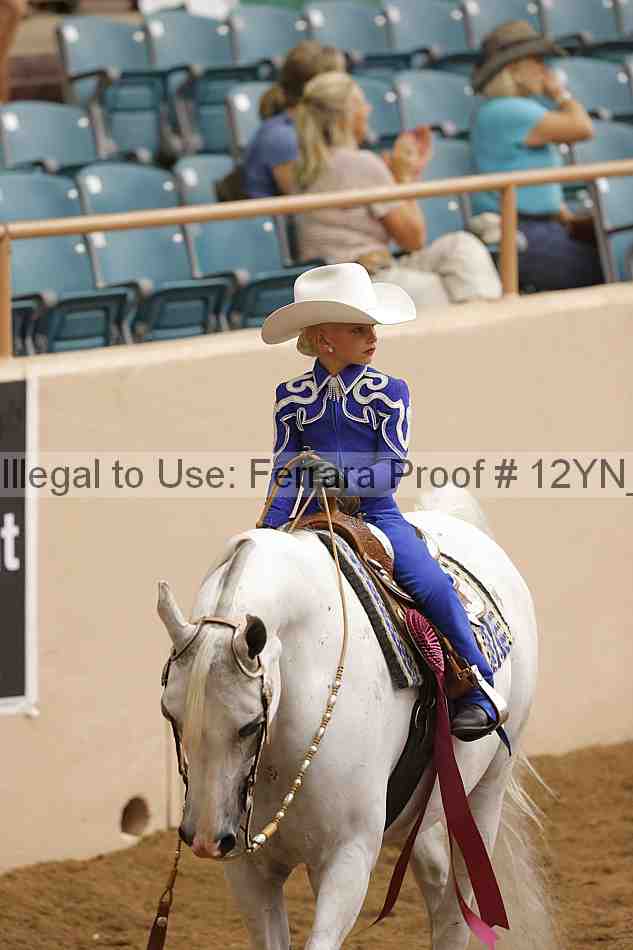 Proof Number 12yn_22179