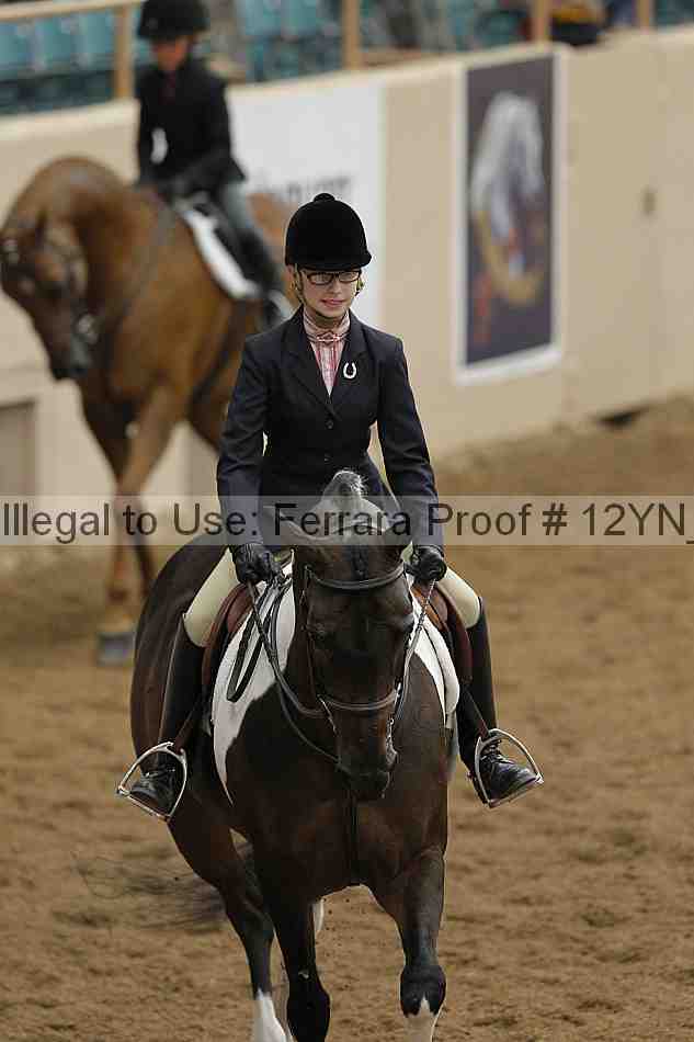 Proof Number 12yn_03540
