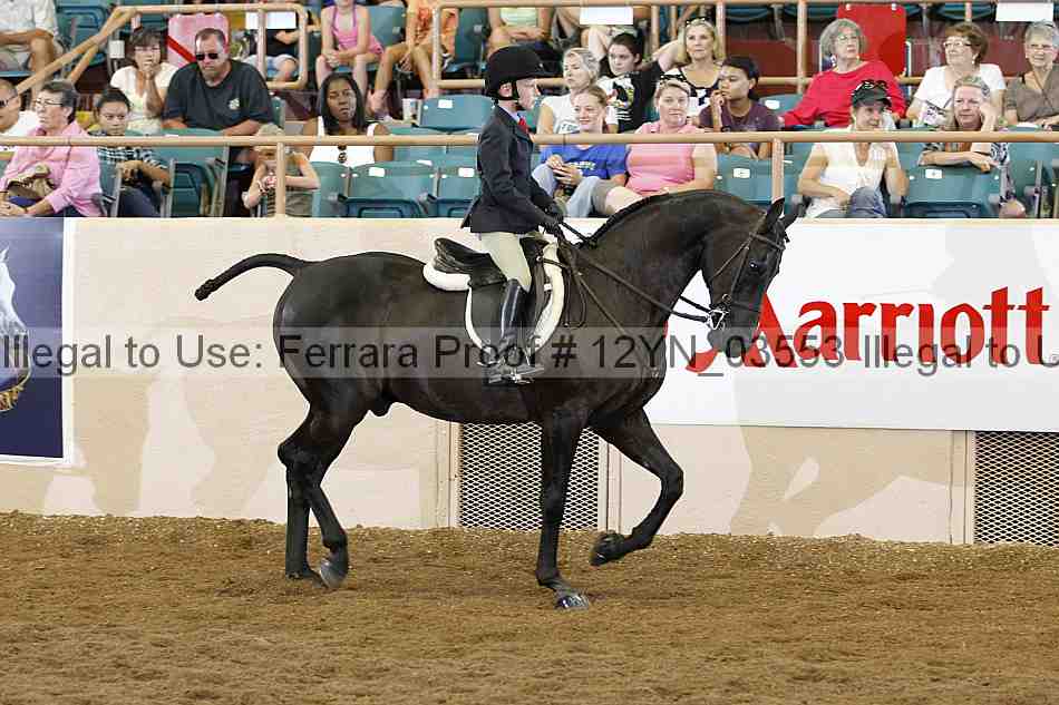 Proof Number 12yn_03553