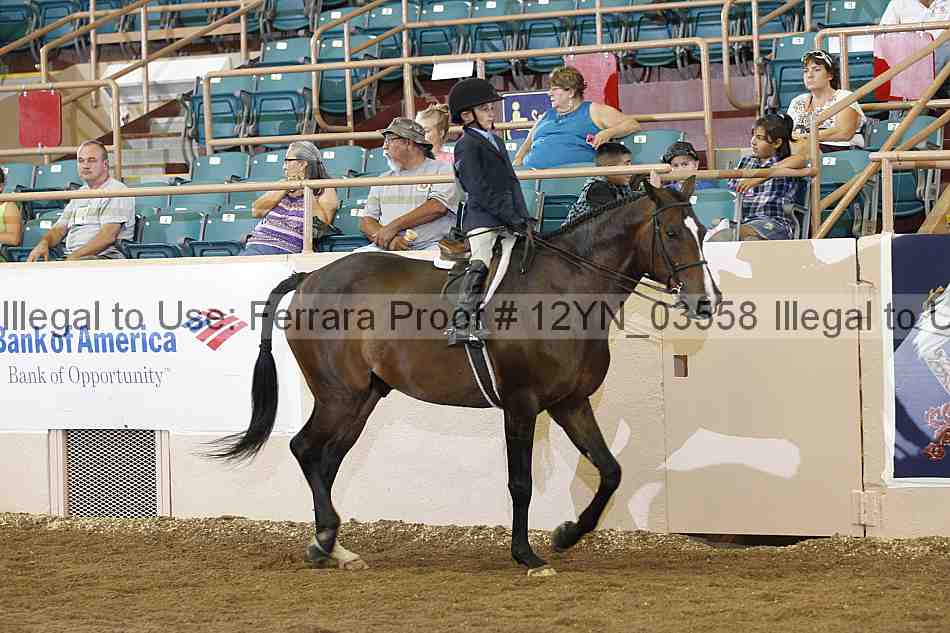 Proof Number 12yn_03558
