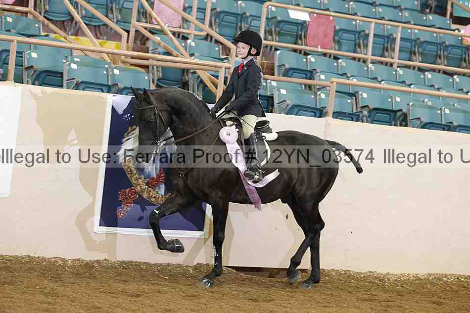Proof Number 12yn_03574