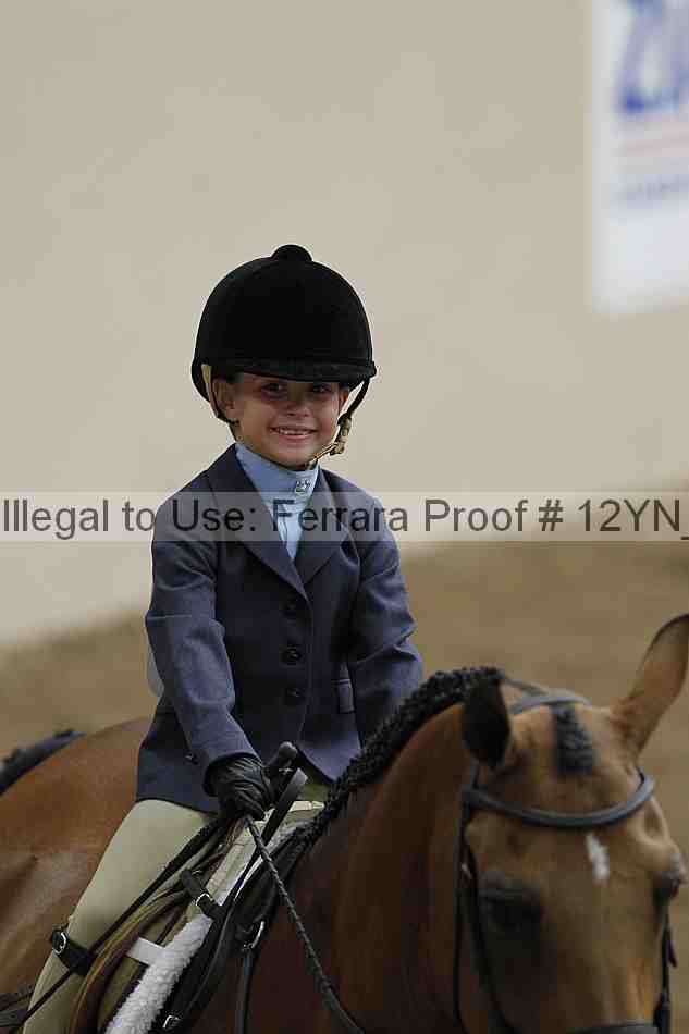 Proof Number 12yn_03584