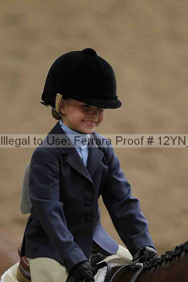 Proof Number 12yn_03588