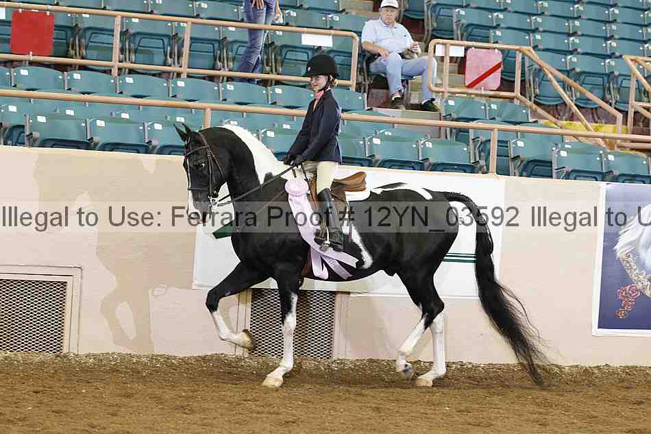 Proof Number 12yn_03592