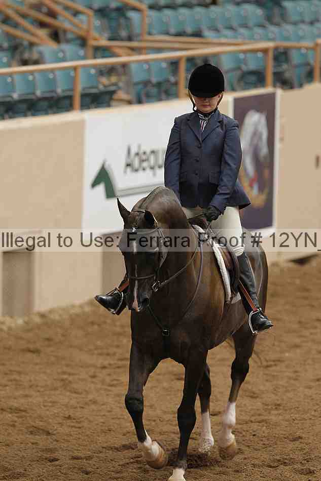 Proof Number 12yn_03607