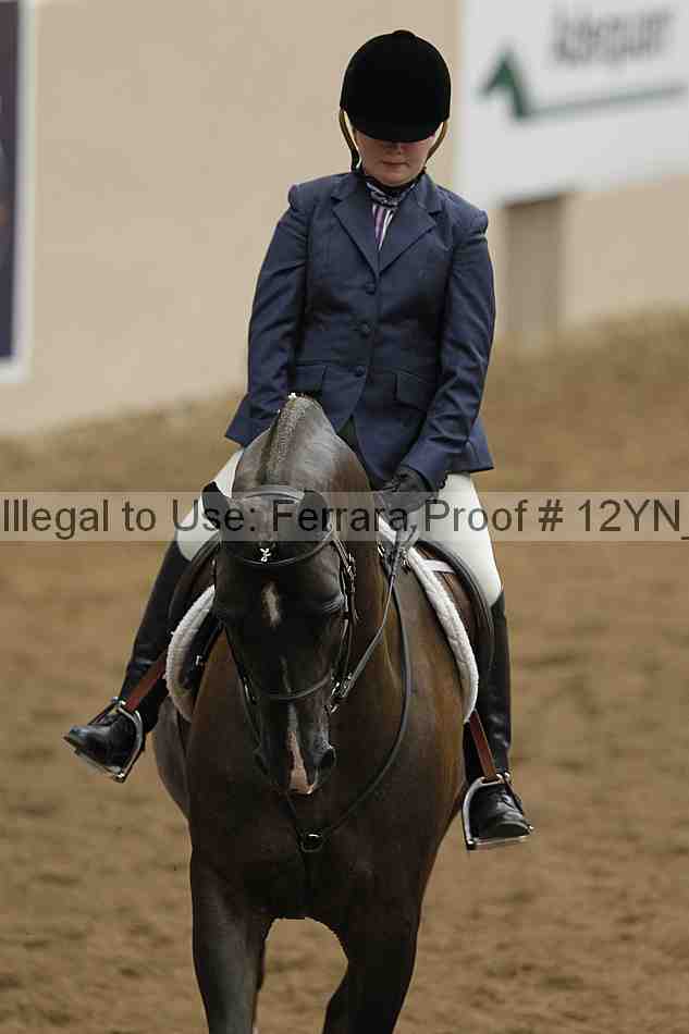 Proof Number 12yn_03608