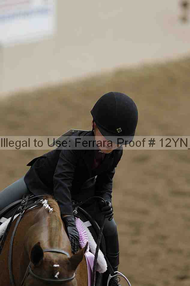 Proof Number 12yn_03612