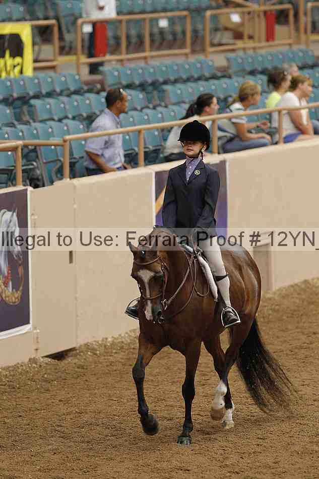 Proof Number 12yn_03788