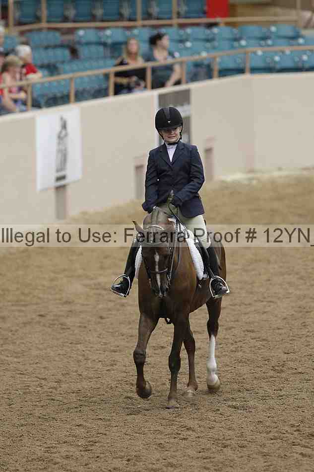 Proof Number 12yn_03791