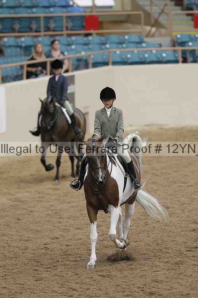 Proof Number 12yn_03792
