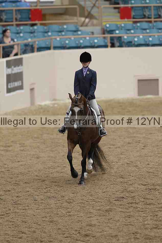 Proof Number 12yn_03793