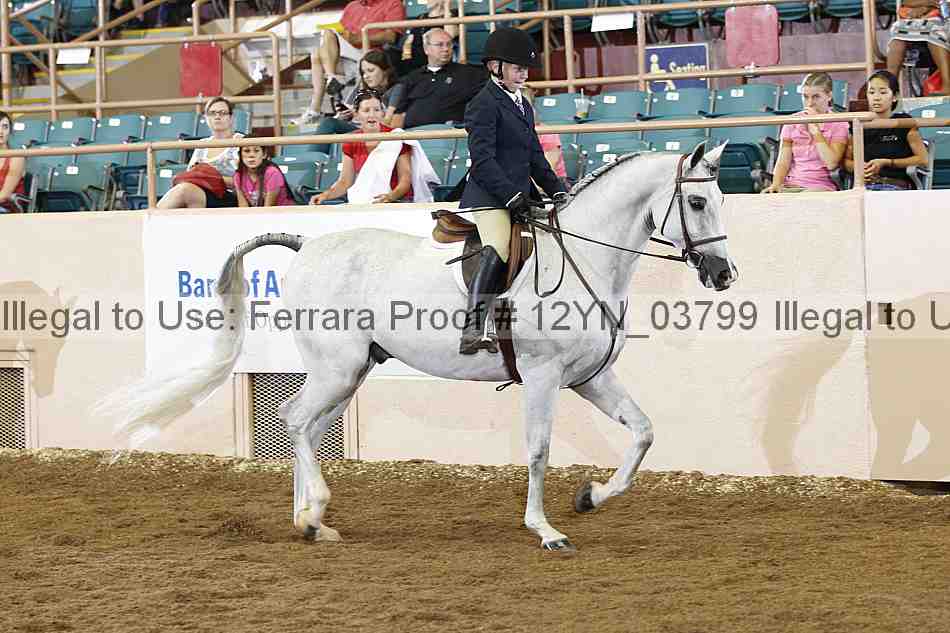 Proof Number 12yn_03799