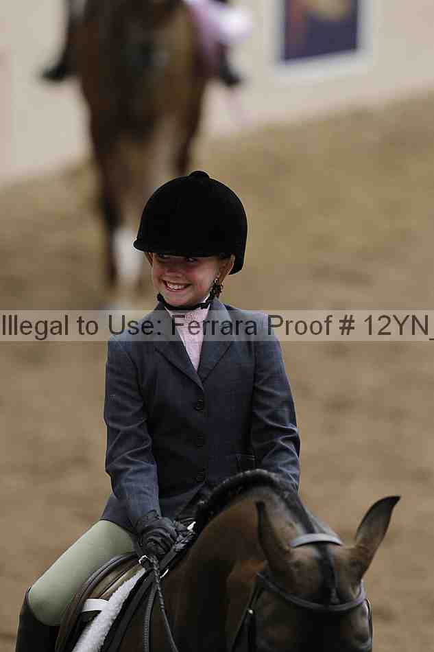 Proof Number 12yn_03823