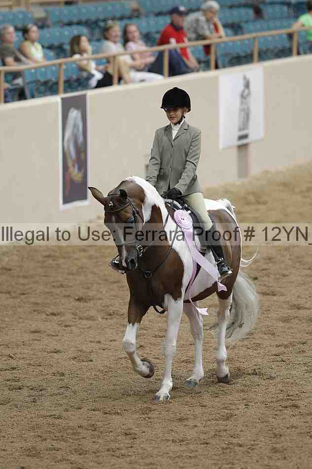Proof Number 12yn_03829