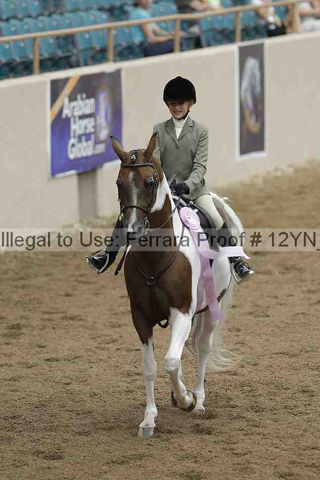 Proof Number 12yn_03831
