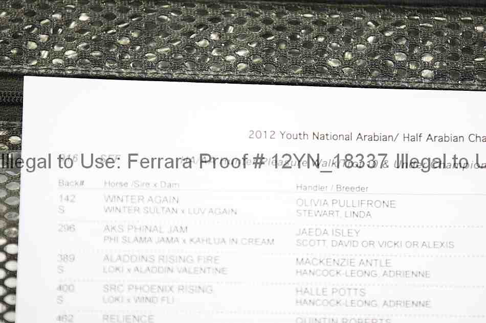 Proof Number 12yn_18337