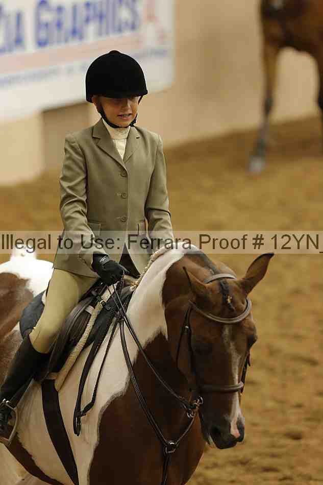 Proof Number 12yn_18345