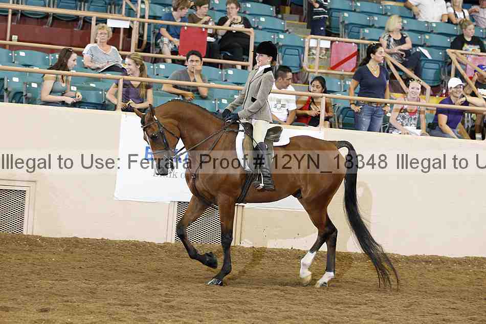 Proof Number 12yn_18348