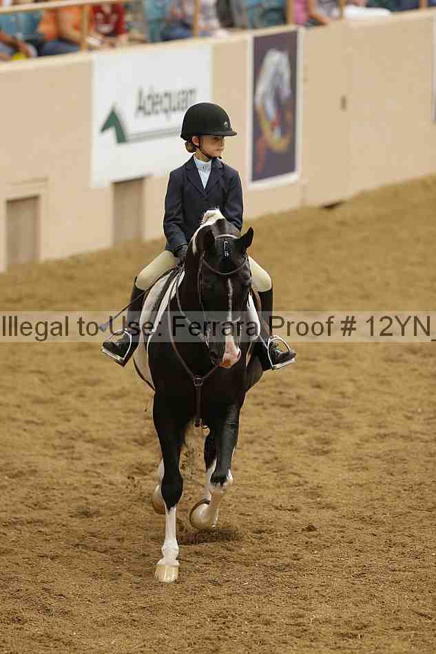 Proof Number 12yn_18352