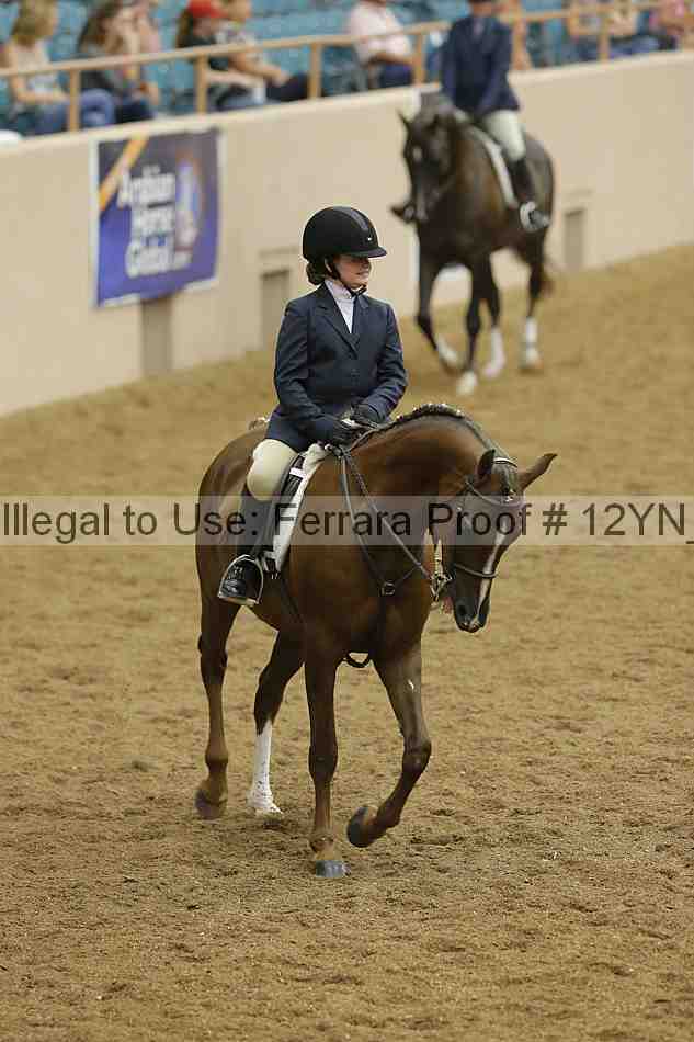 Proof Number 12yn_18353