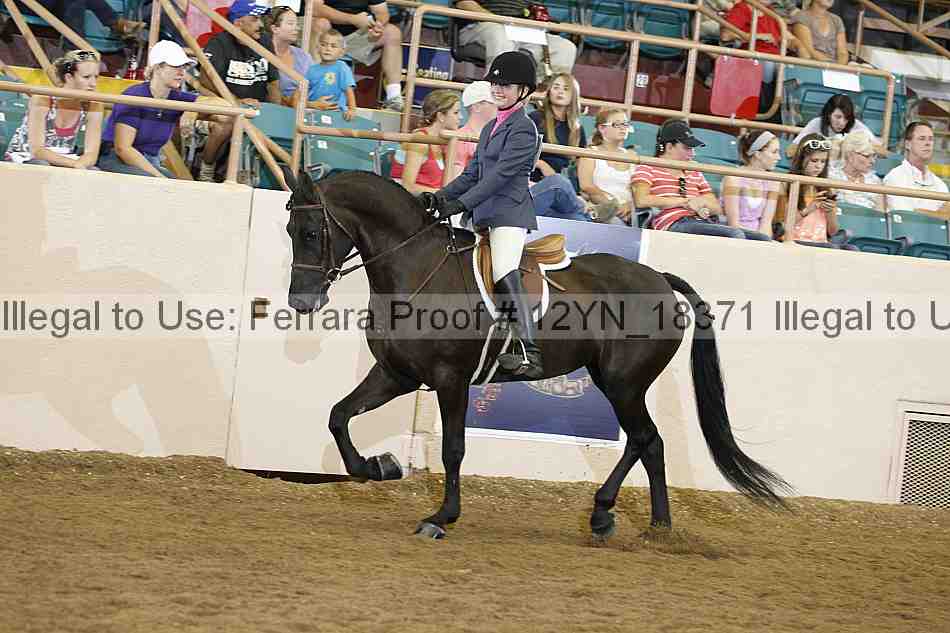 Proof Number 12yn_18371