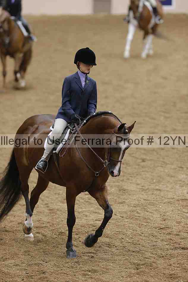 Proof Number 12yn_18378