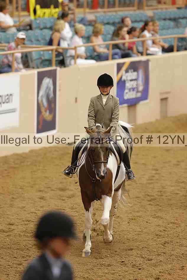 Proof Number 12yn_18379