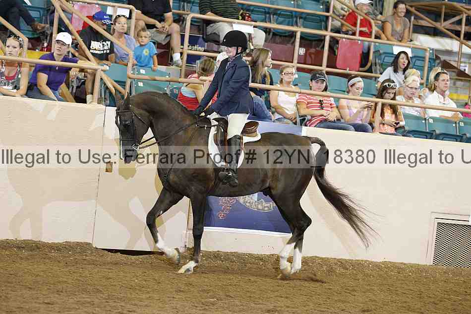 Proof Number 12yn_18380