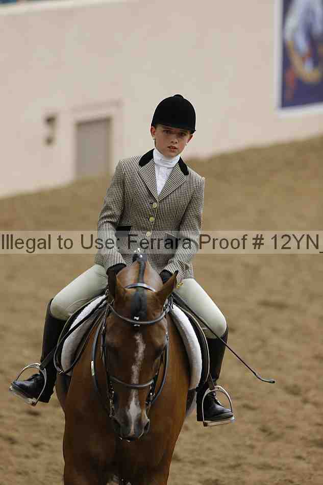 Proof Number 12yn_18384