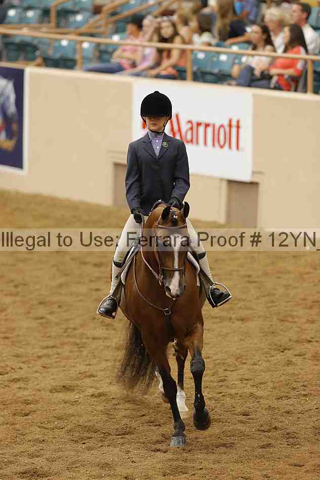 Proof Number 12yn_18387