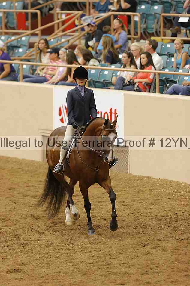 Proof Number 12yn_18395