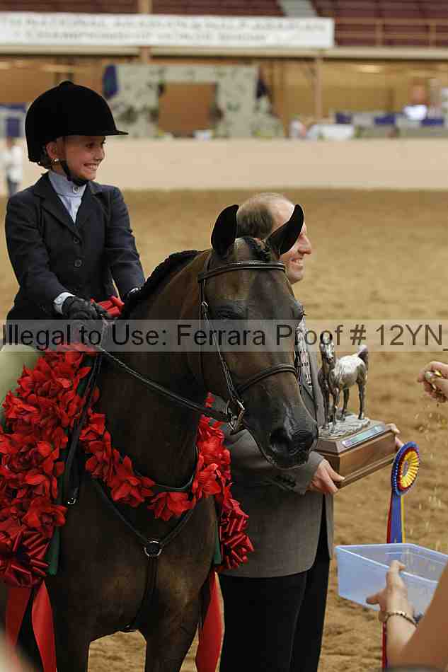 Proof Number 12yn_18441