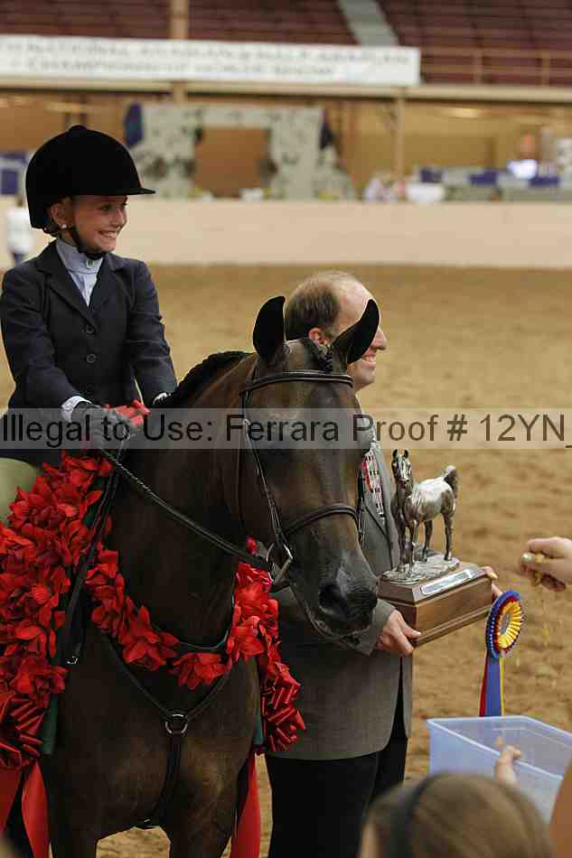 Proof Number 12yn_18442