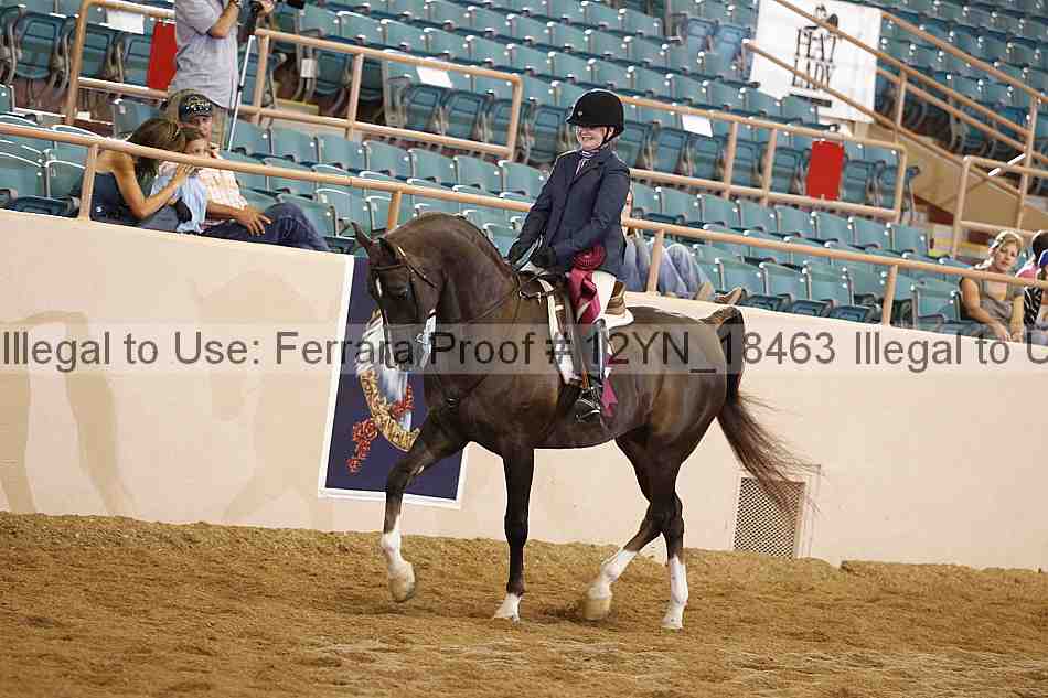 Proof Number 12yn_18463