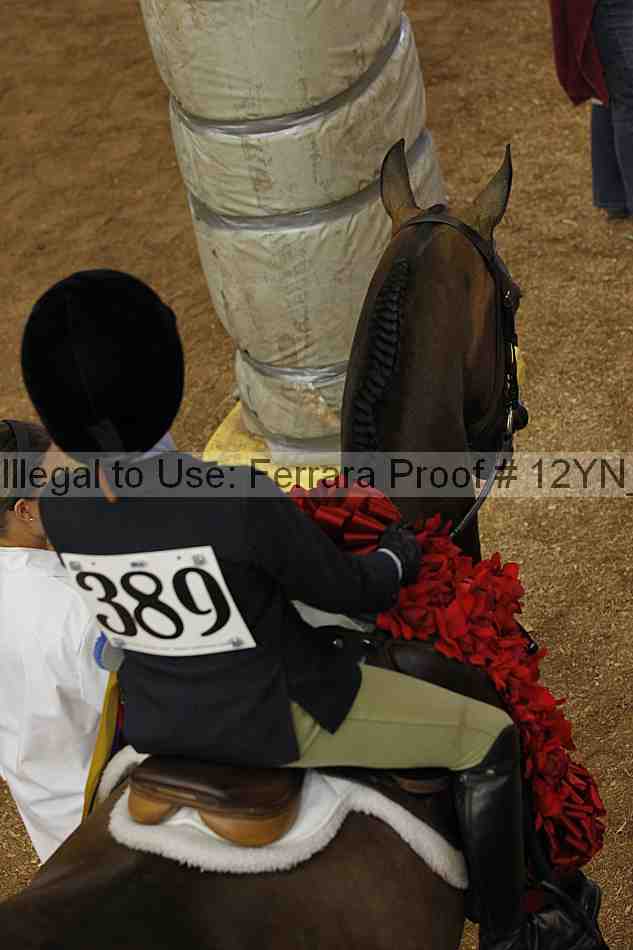Proof Number 12yn_18503
